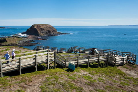 Melbourne Combo: Great Ocean Road, Puffing Billy, Moonlit Sanctuary & Penguins - Accommodation Nelson Bay 5