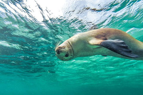10-Day Adelaide To Perth Adventure Tour - Accommodation Nelson Bay 1