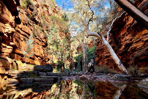 10-Day Adelaide To Perth Adventure Tour - Accommodation Nelson Bay 5