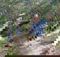 Small-Group Blue Mountains Tour with Bush Walks and Featherdale Wildlife Park - Accommodation Nelson Bay