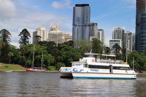 Lone Pine Koala Sanctuary Admission With Brisbane River Cruise - Accommodation Nelson Bay 2