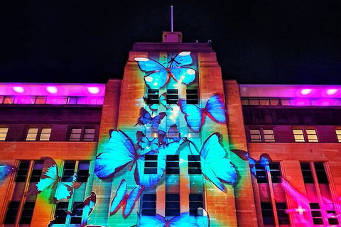 Vivid 90-Minute Sydney Harbour Small Group Catamaran Cruise - Accommodation Nelson Bay 0