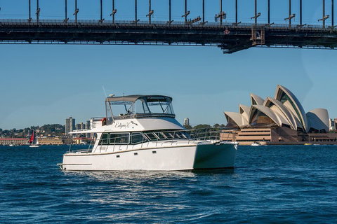 Vivid 90-Minute Sydney Harbour Small Group Catamaran Cruise - Accommodation Nelson Bay 2