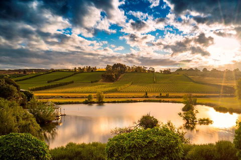 Josef Chromy Wines Winery Tour Including Tasting And Lunch - Accommodation Nelson Bay 3