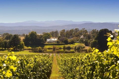 Josef Chromy Wines Winery Tour Including Tasting And Lunch - Accommodation Nelson Bay 4