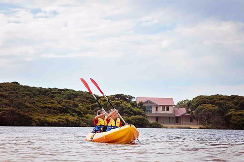 Kangaroo Island Self-Guided Kayaking On The Harriet River - Accommodation Nelson Bay 5