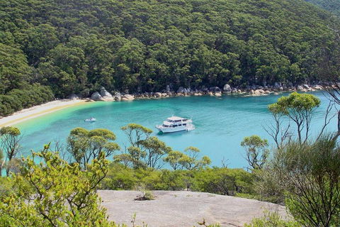 Wilsons Promontory Full Day Cruise - Accommodation Nelson Bay 2