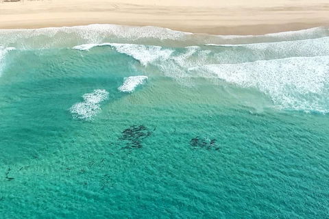 Coastal Helicopter Shared Flight - 20 Minutes - Accommodation Nelson Bay 4