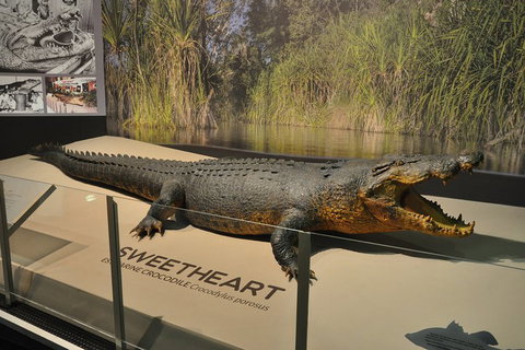 Explore Darwin City Sights Including Key Attractions - Accommodation Nelson Bay 2