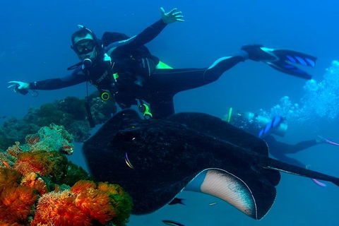 Scuba Dive The S.S. Yongala Wreck On The Great Barrier Reef. - Accommodation Nelson Bay 0