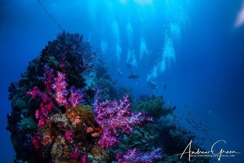 Scuba Dive The S.S. Yongala Wreck On The Great Barrier Reef. - Accommodation Nelson Bay 2