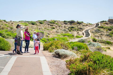 Margaret River Coastal And Wildlife Eco Trip From Busselton Or Dunsborough - Accommodation Nelson Bay 0