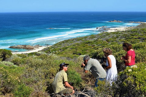 Margaret River Coastal And Wildlife Eco Trip From Busselton Or Dunsborough - Accommodation Nelson Bay 2
