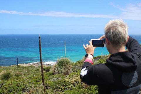 Margaret River Coastal And Wildlife Eco Trip From Busselton Or Dunsborough - Accommodation Nelson Bay 3