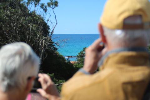 Margaret River Coastal And Wildlife Eco Trip From Busselton Or Dunsborough - Accommodation Nelson Bay 5